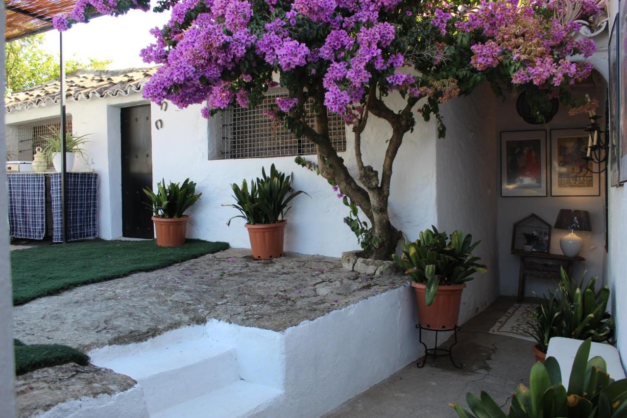 Casa Rural Faltriquera Setenil Setenil De Las Bodegas Exterior foto